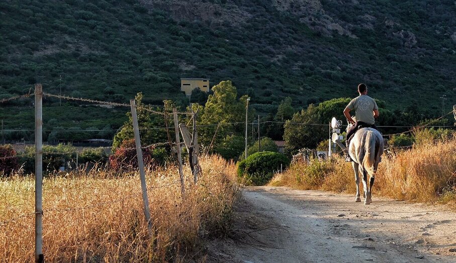 horsebackriding horsebackriding